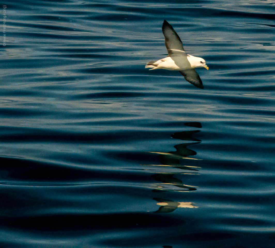 Husavik - Iceland - 2015