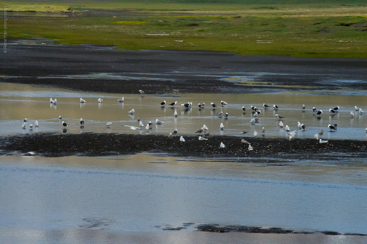 Iceland - 2015