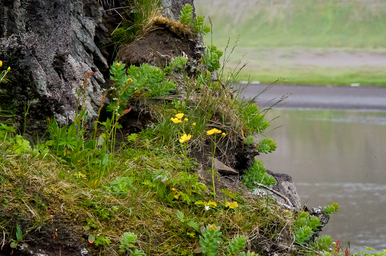 Iceland - 2015