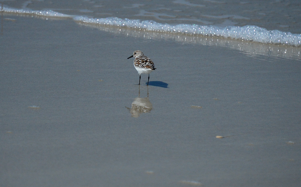 Jacksonville - Florida - USA - 2013