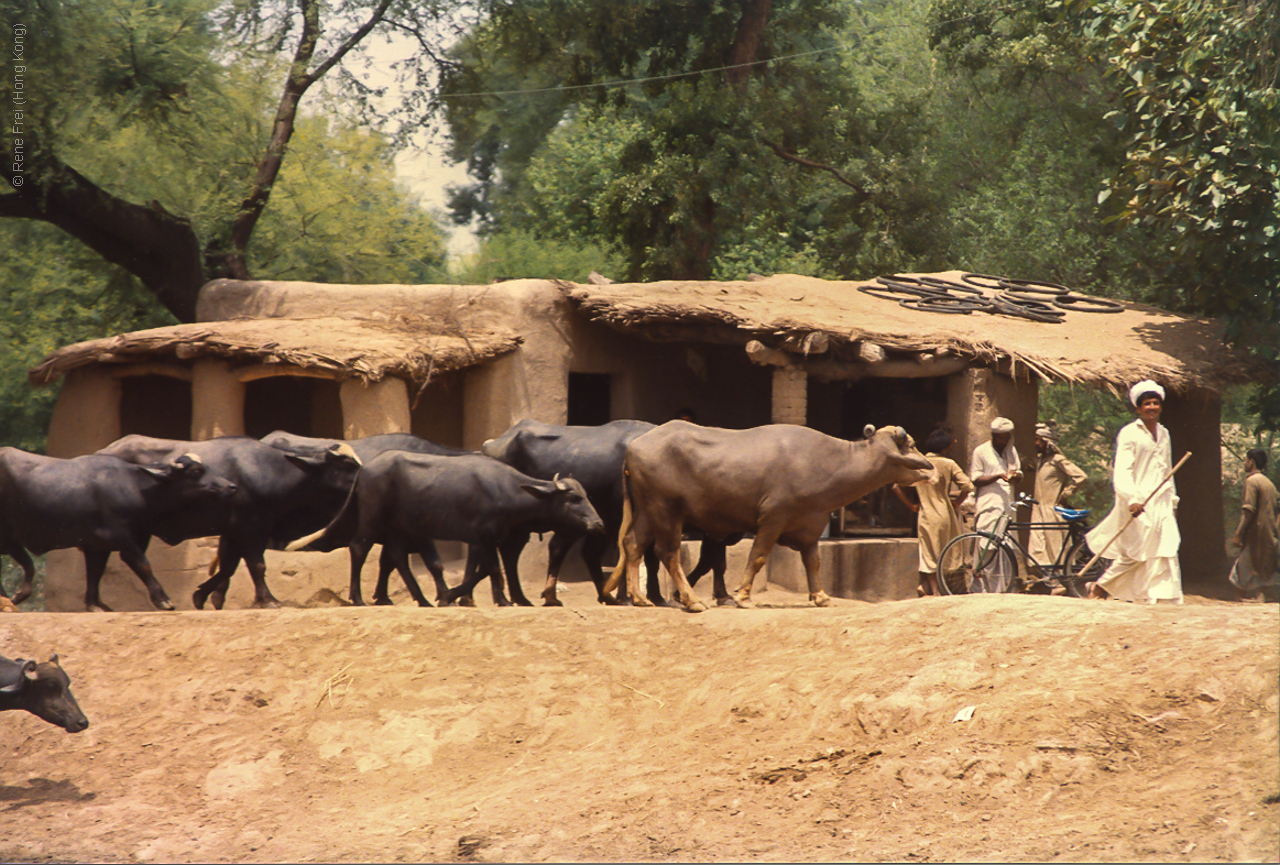 Karachi - Pakistan - early 1990's