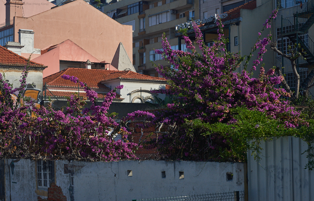 Lisbon - Portugal - September 2019