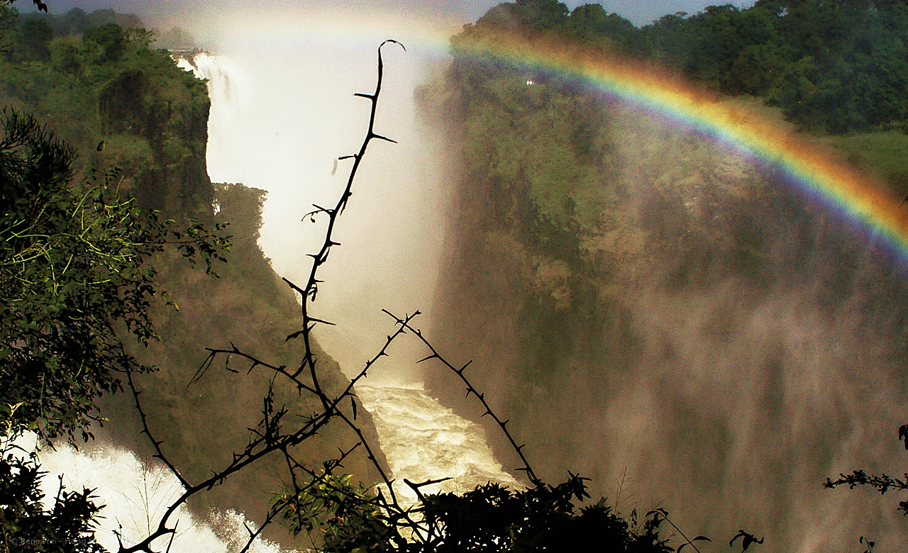 Livingstone / Victoria Falls - Zimbabwe - March 2008