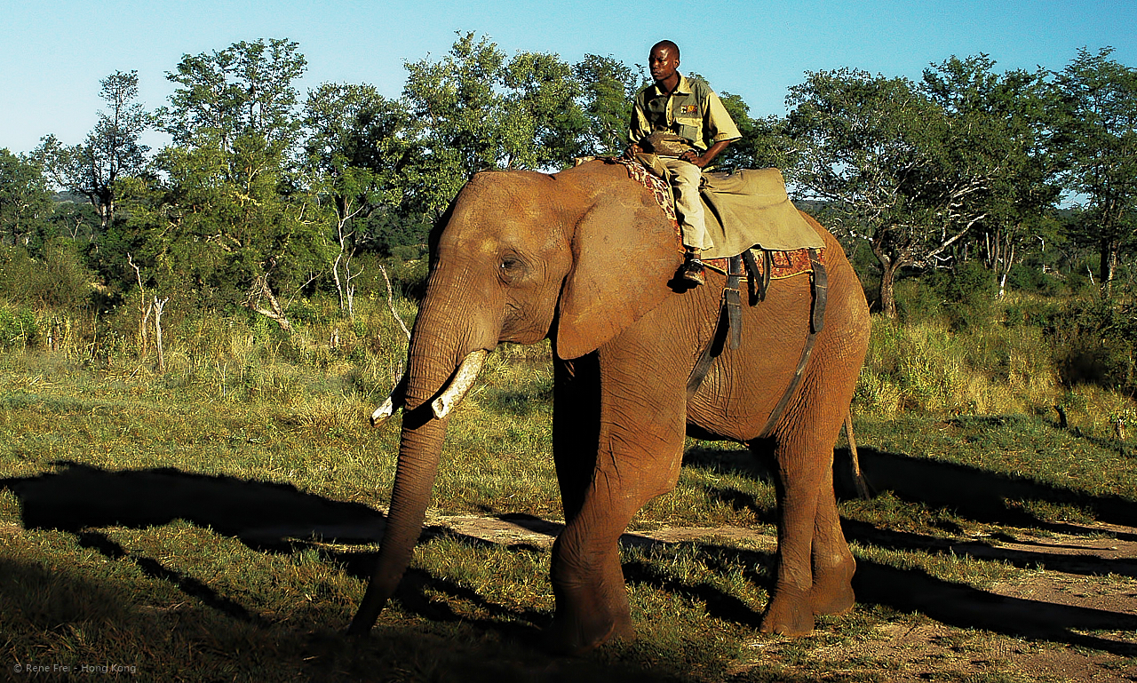 Livingstone / Victoria Falls - Zimbabwe - March 2008