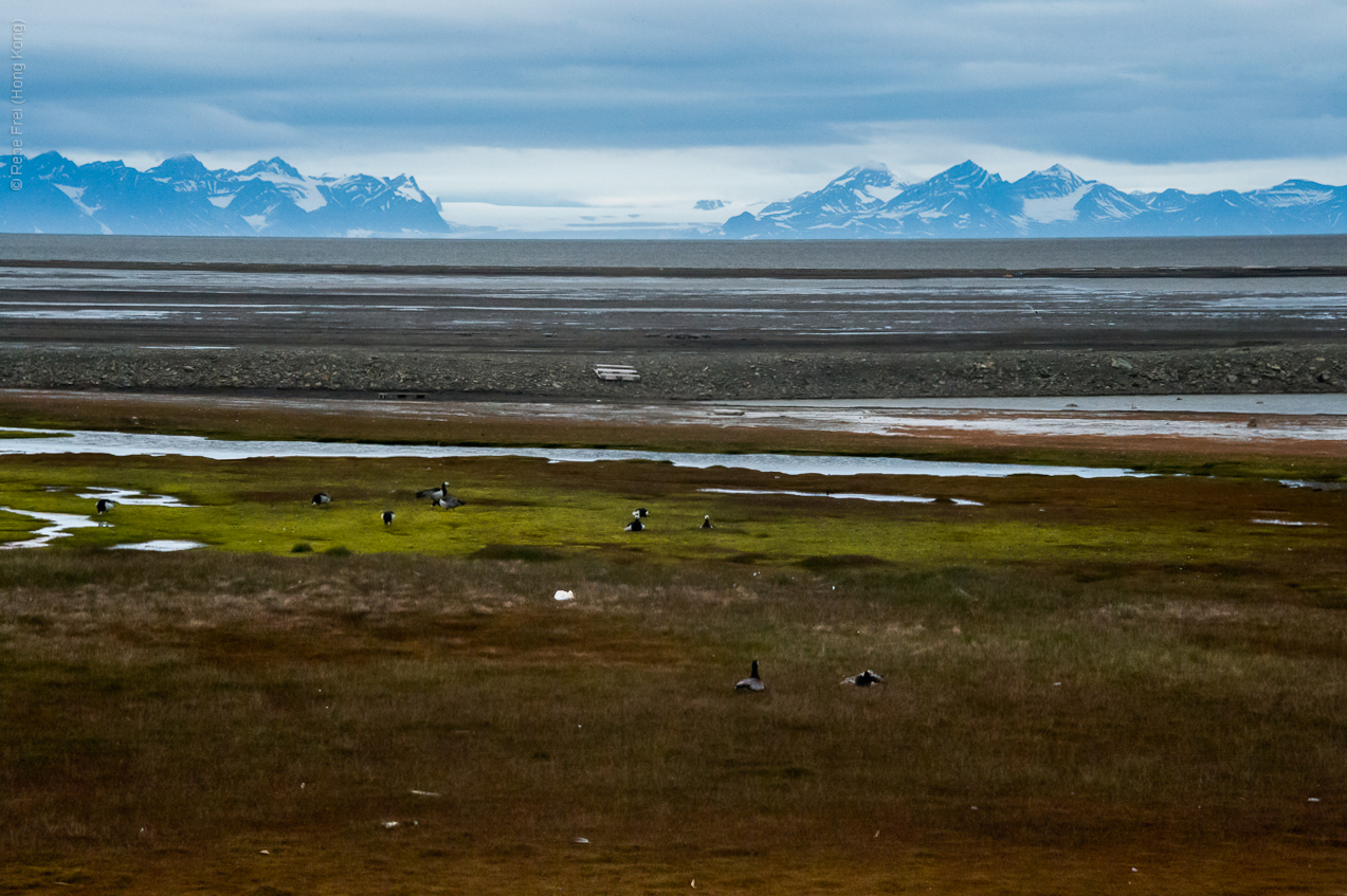 Longyearben/Svalbad - Norway - 2015