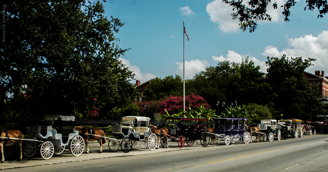 New Orleans -Louisiana - USA - 2011