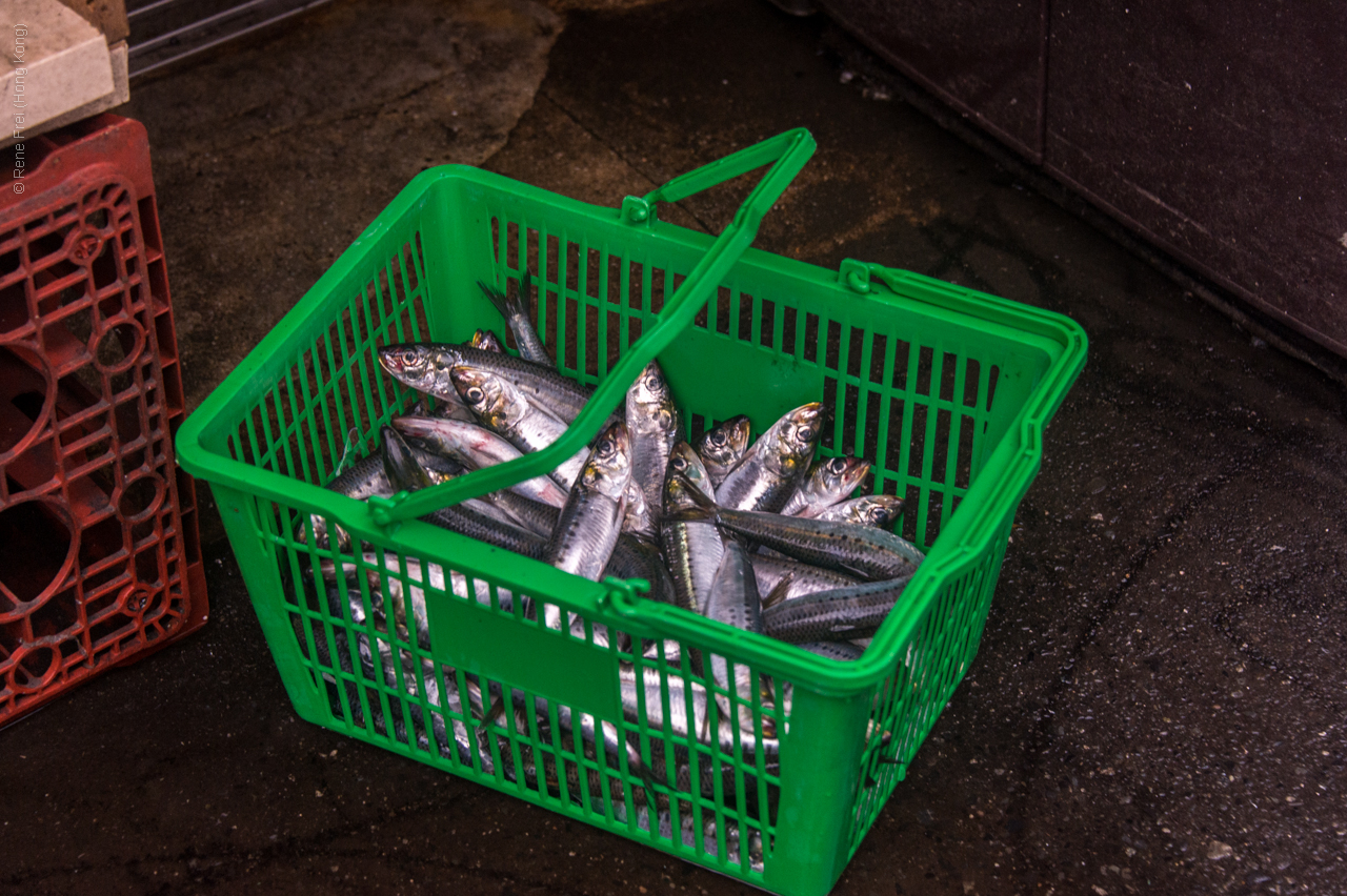 Osaka - Japan - September 2018