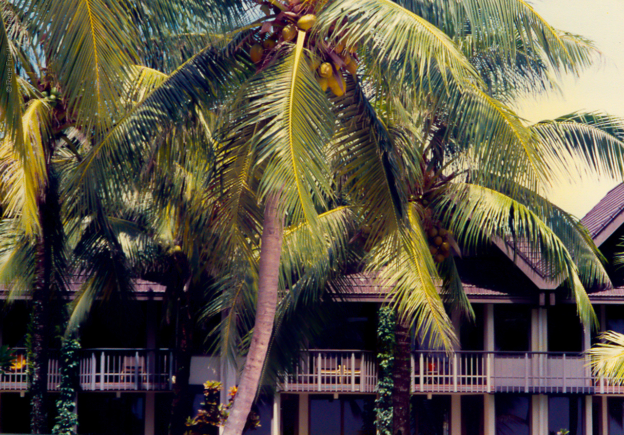 Palau - Micronesia - 1989