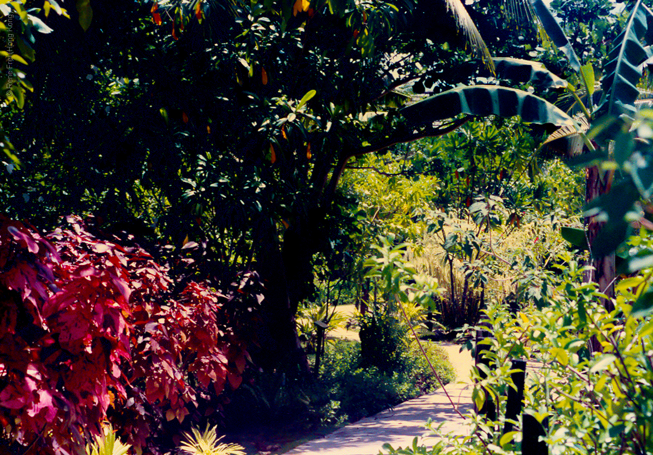 Palau - Micronesia - 1989