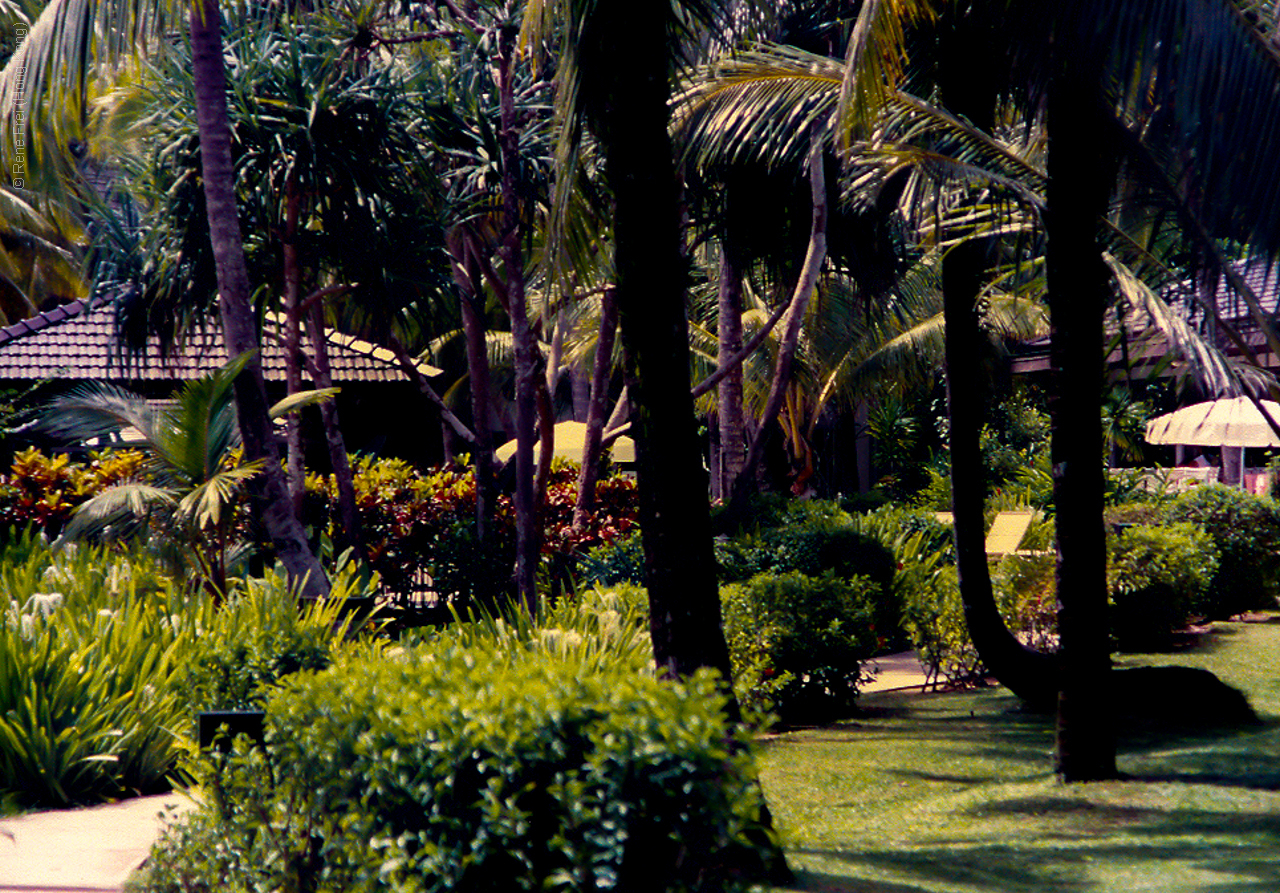 Palau - Micronesia - 1989