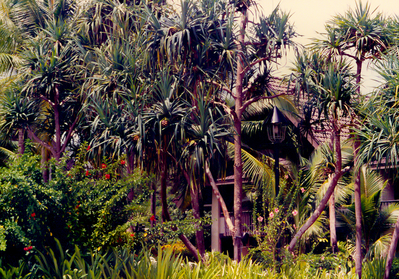 Palau - Micronesia - 1989