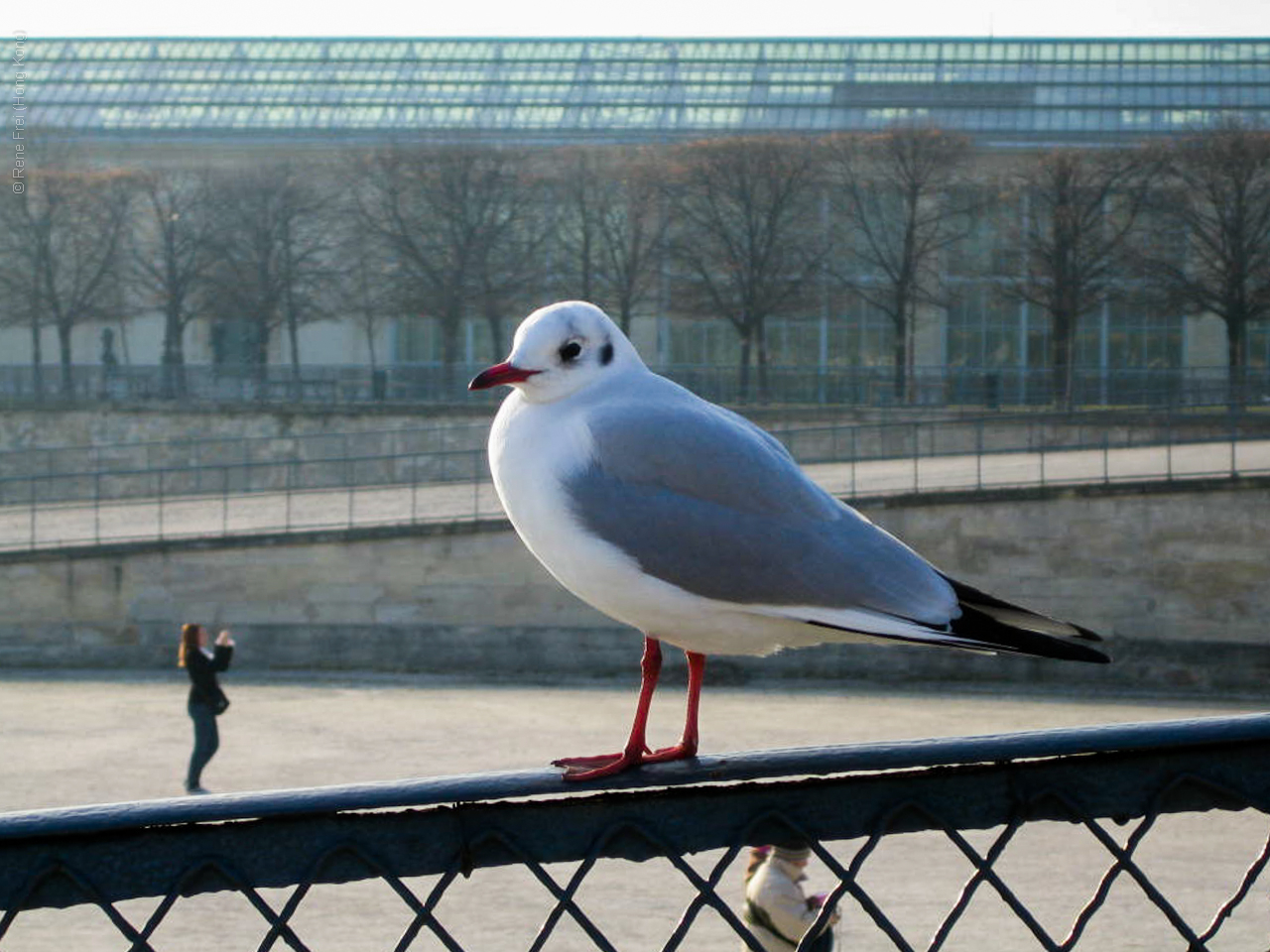 Paris - France - 2007