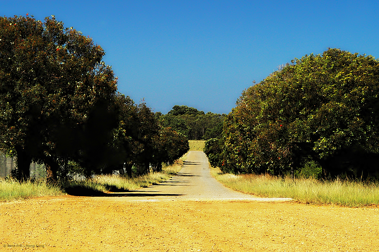 Plettenberg - South Africa - 2008