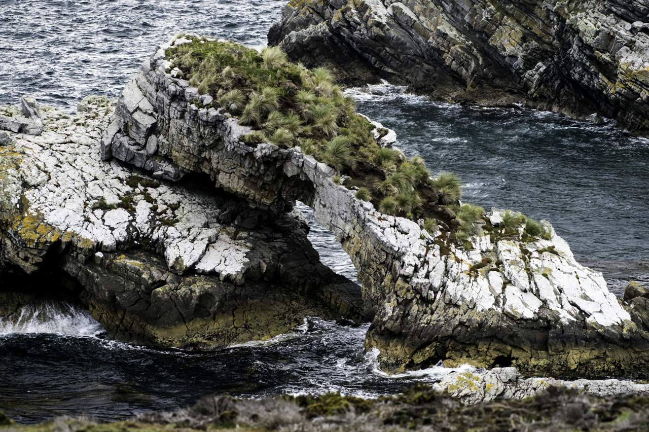 Port Stanley - Falkland Islands - January 2017