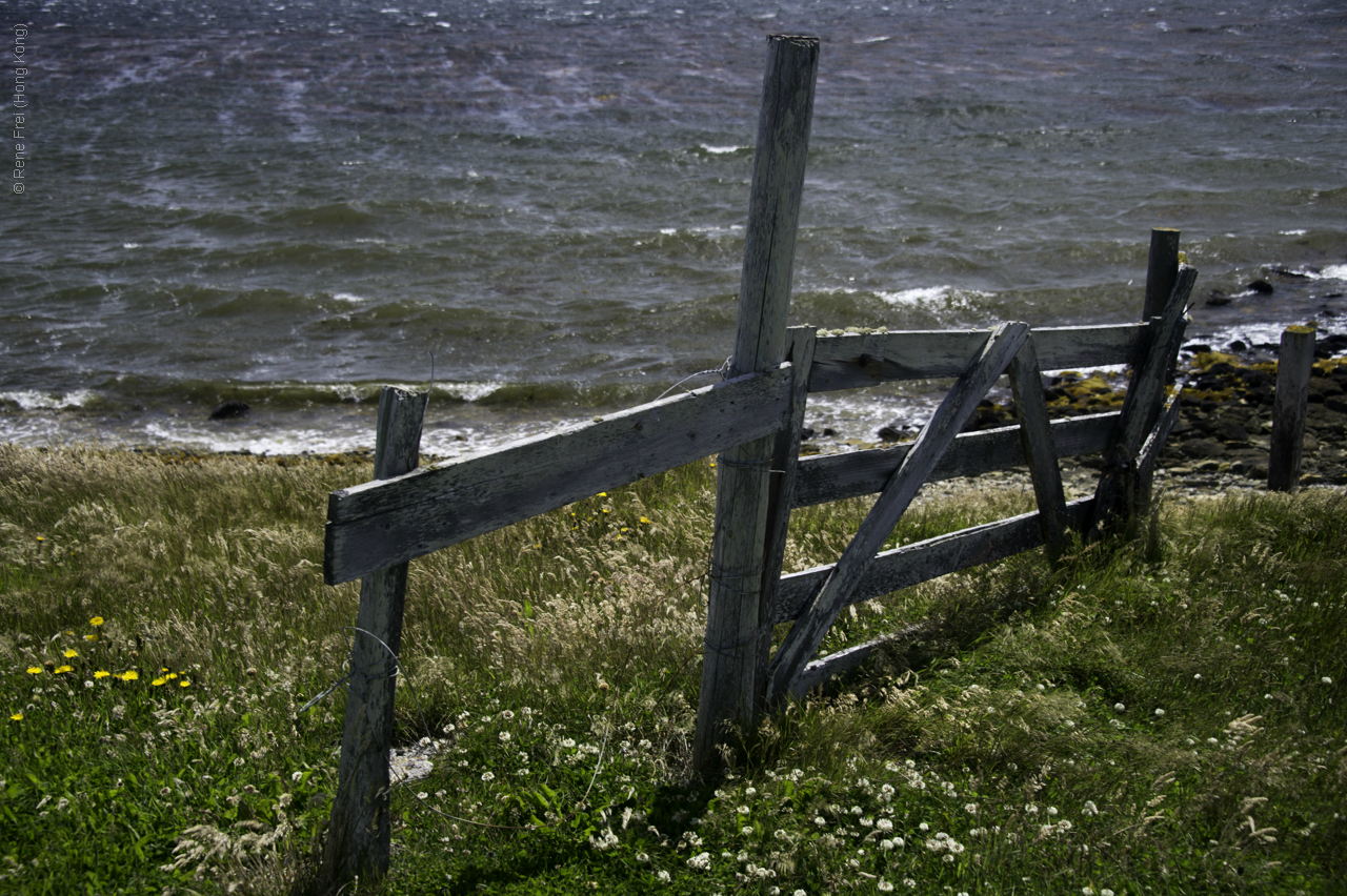 Port Stanley - Falkland Islands - January 2017