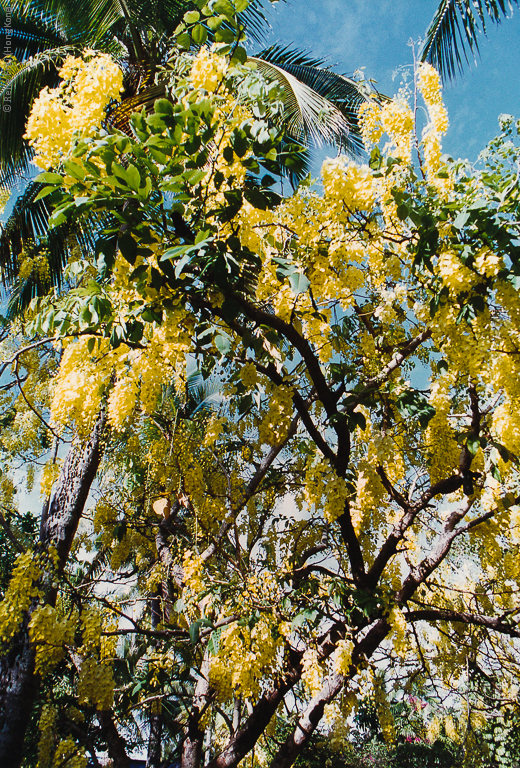 Port Vila - Vanuatu - 1996