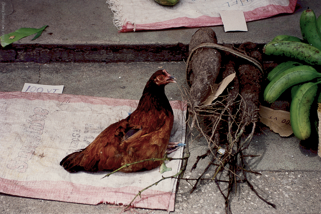 Port Vila - Vanuatu - 1994