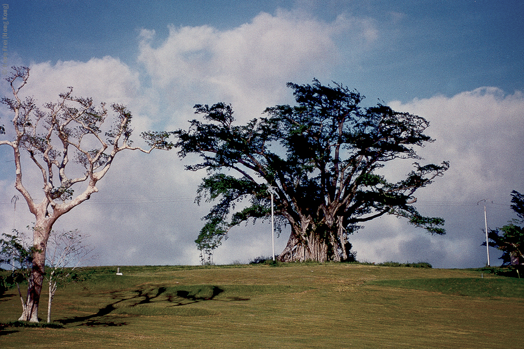 Port Vila - Vanuatu - 1994