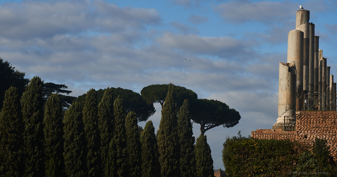 Rome - Italy - January 2020