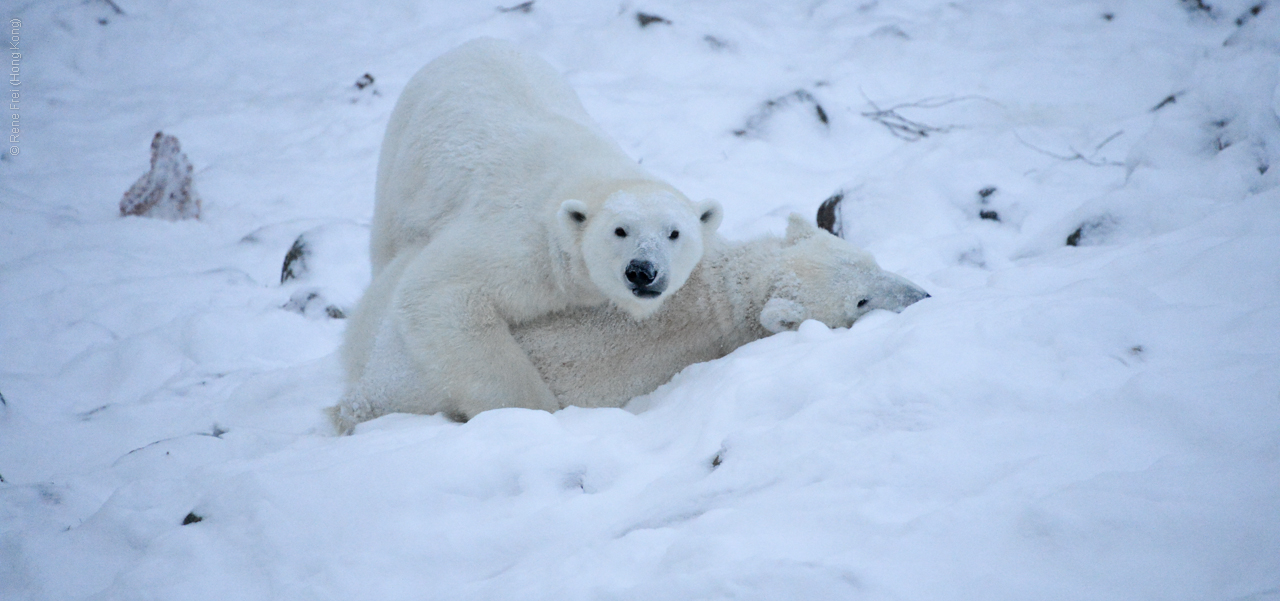 Rovaniemi - Finland - 2012