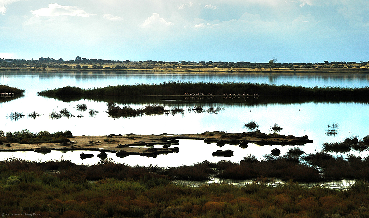 Rovos Rail - South Africa - 2008