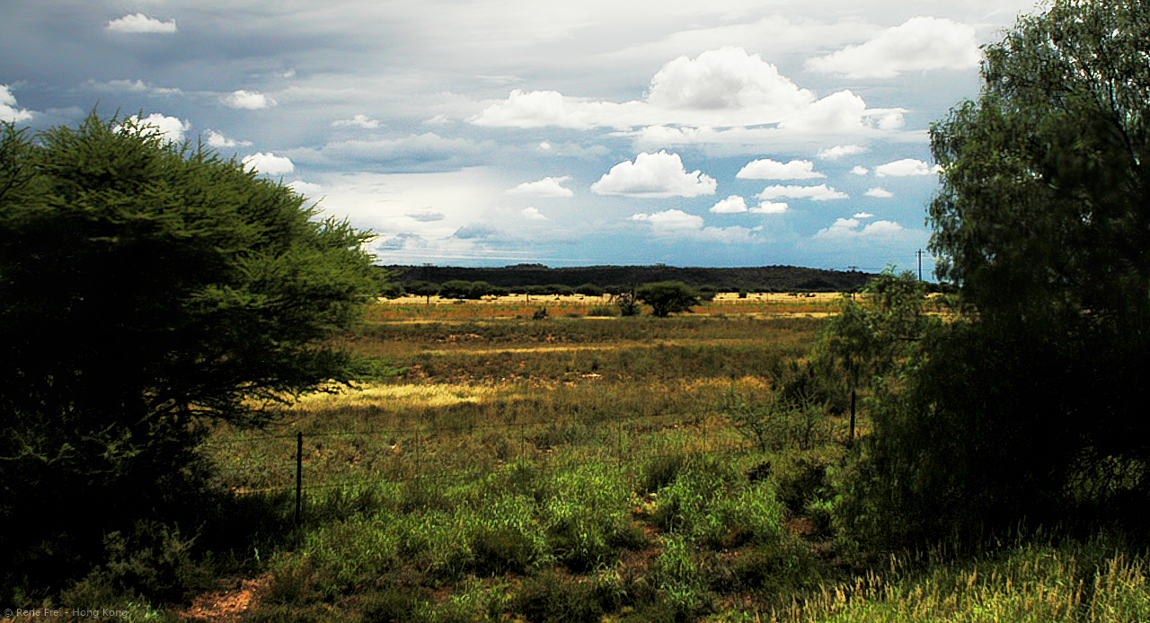 Rovos Rail - South Africa - 2008