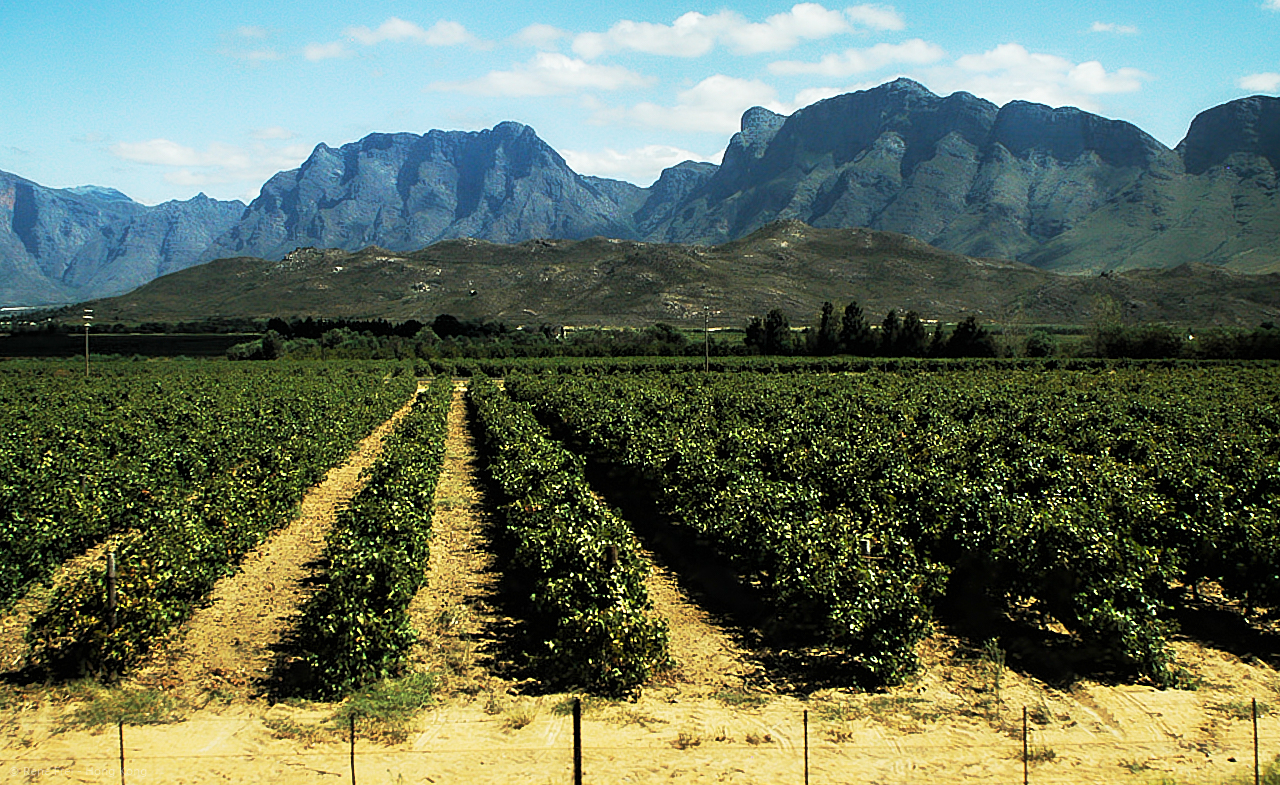 Rovos Rail - South Africa - 2008