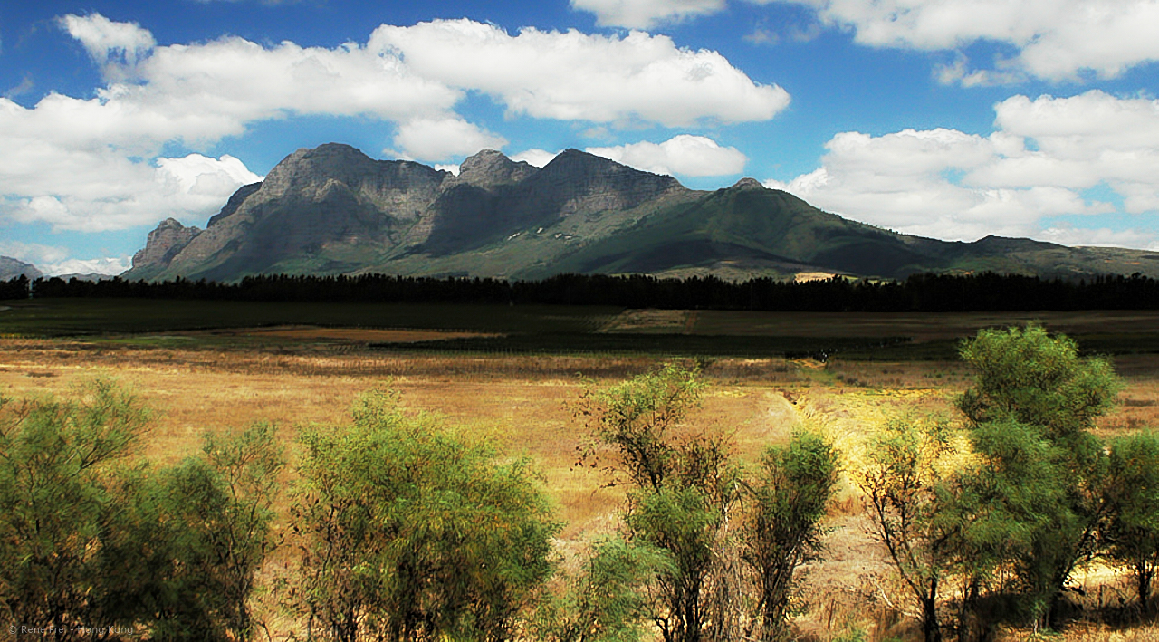 Rovos Rail - South Africa - 2008