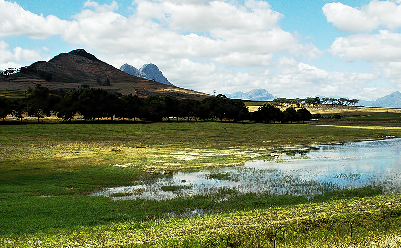 Rovos Rail - South Africa - 2008