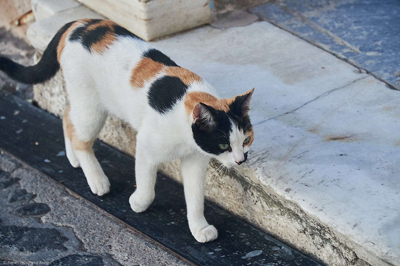 Santorini - Greece - September 2023