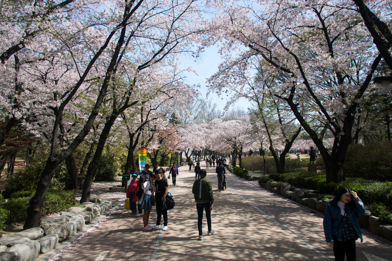 Seoul - Korea - April 2017