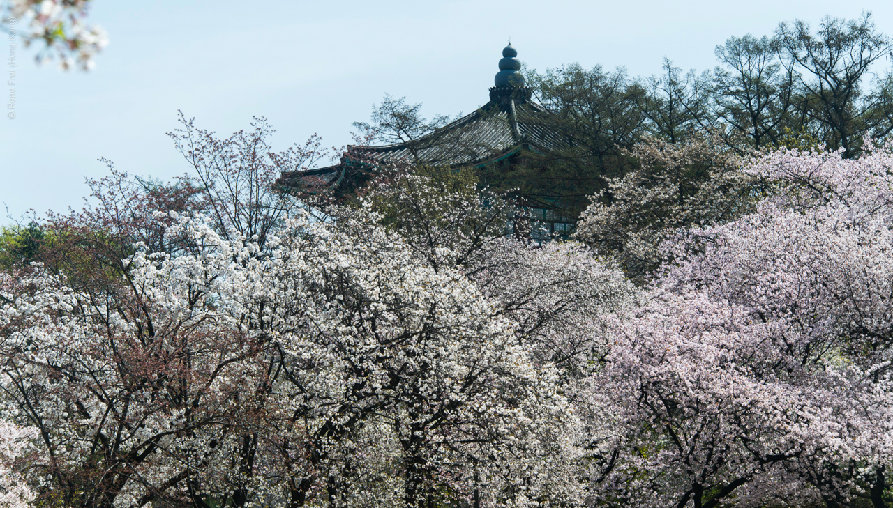 Seoul - Korea - April 2017