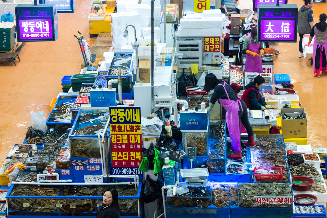 Seoul - Korea - April 2017