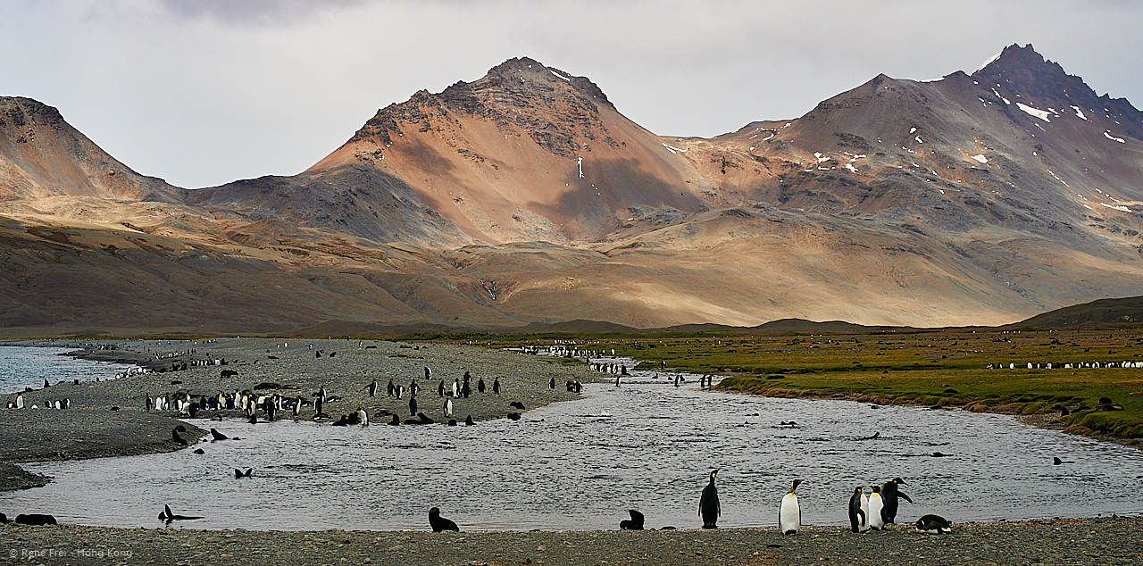 South Georgia - British Overseas Territory - 2017