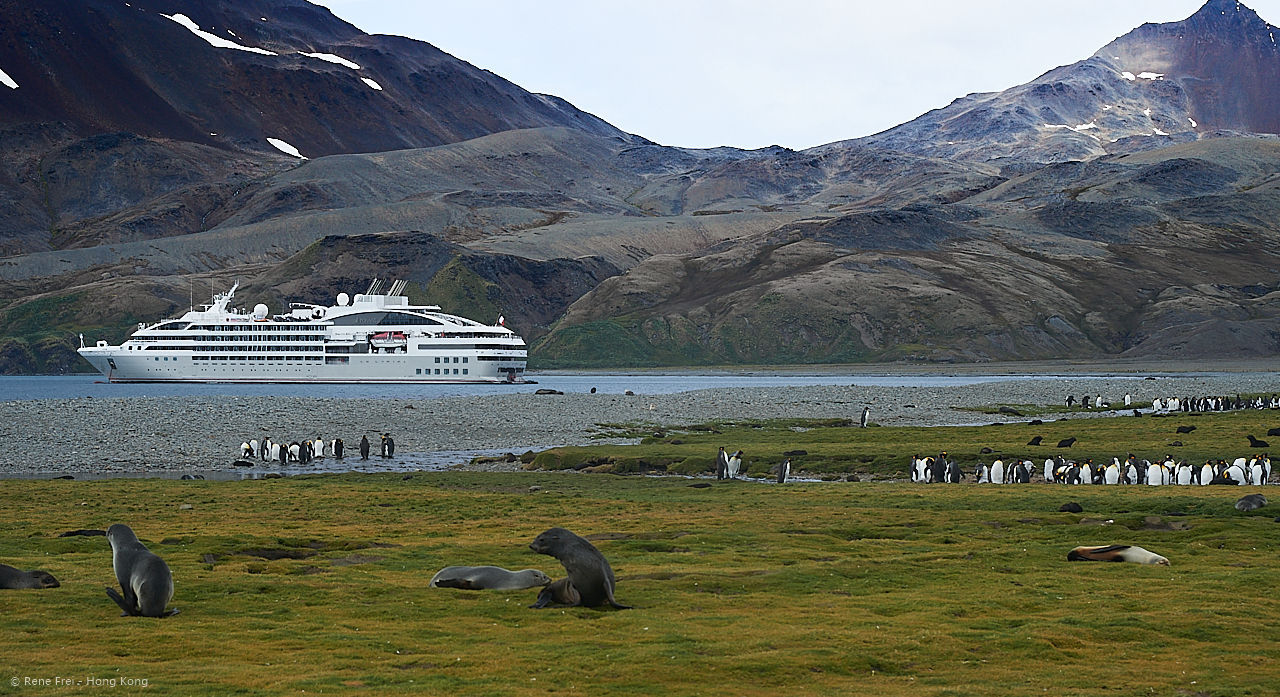 South Georgia - British Overseas Territory - 2017