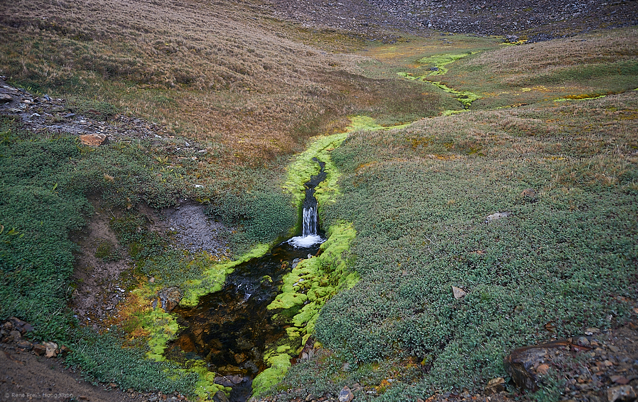 South Georgia - British Overseas Territory - 2017