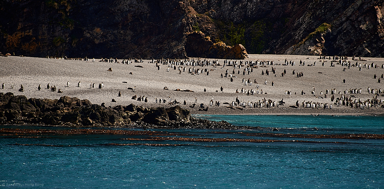 South Georgia - British Overseas Territory - 2017