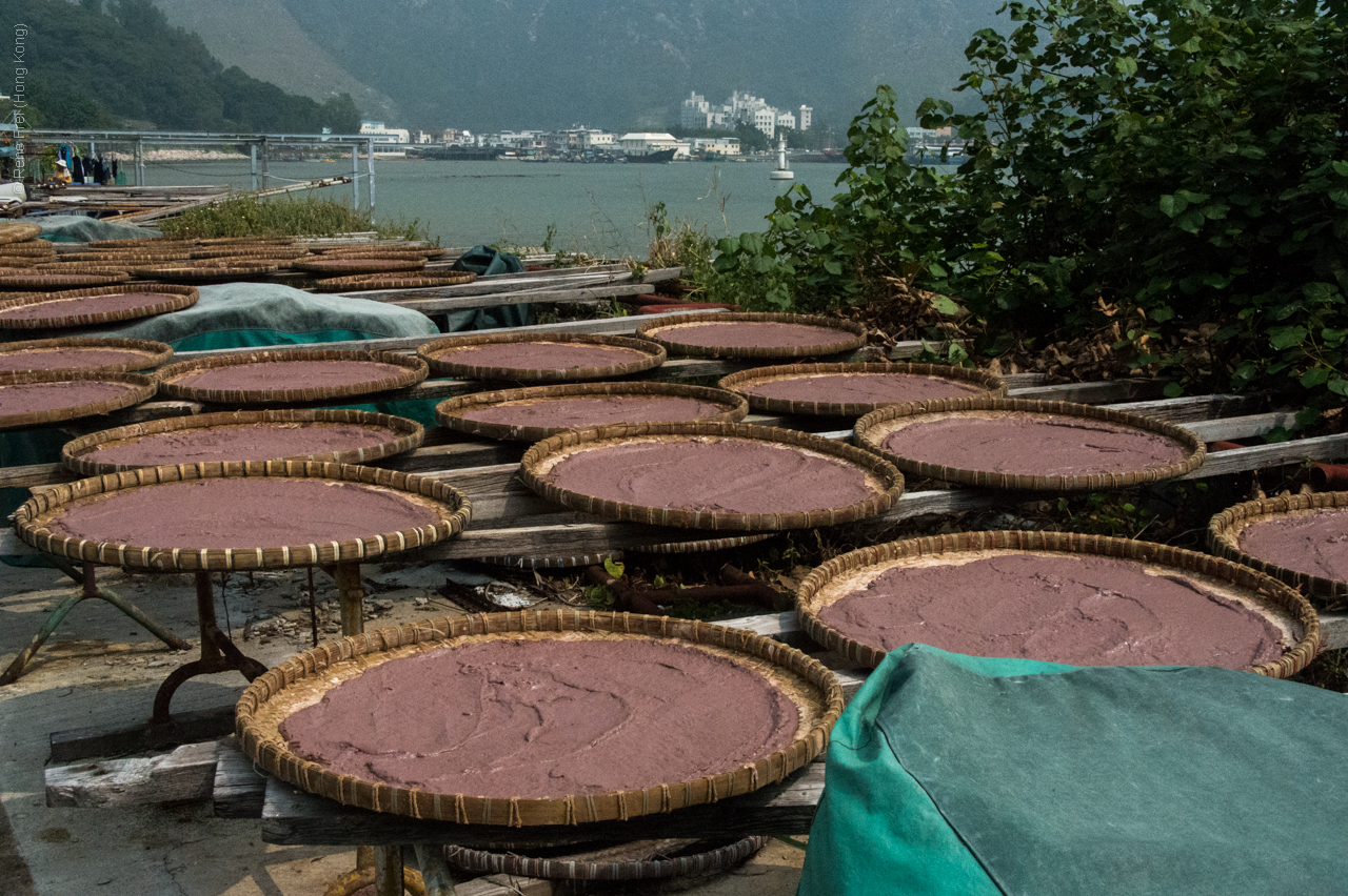 Tai O - Hong Kong - 2014