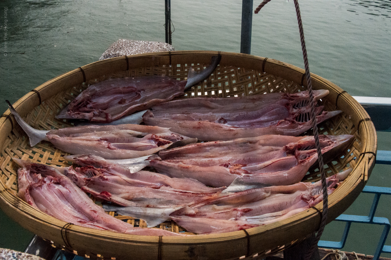 Tai O - Hong Kong - 2014