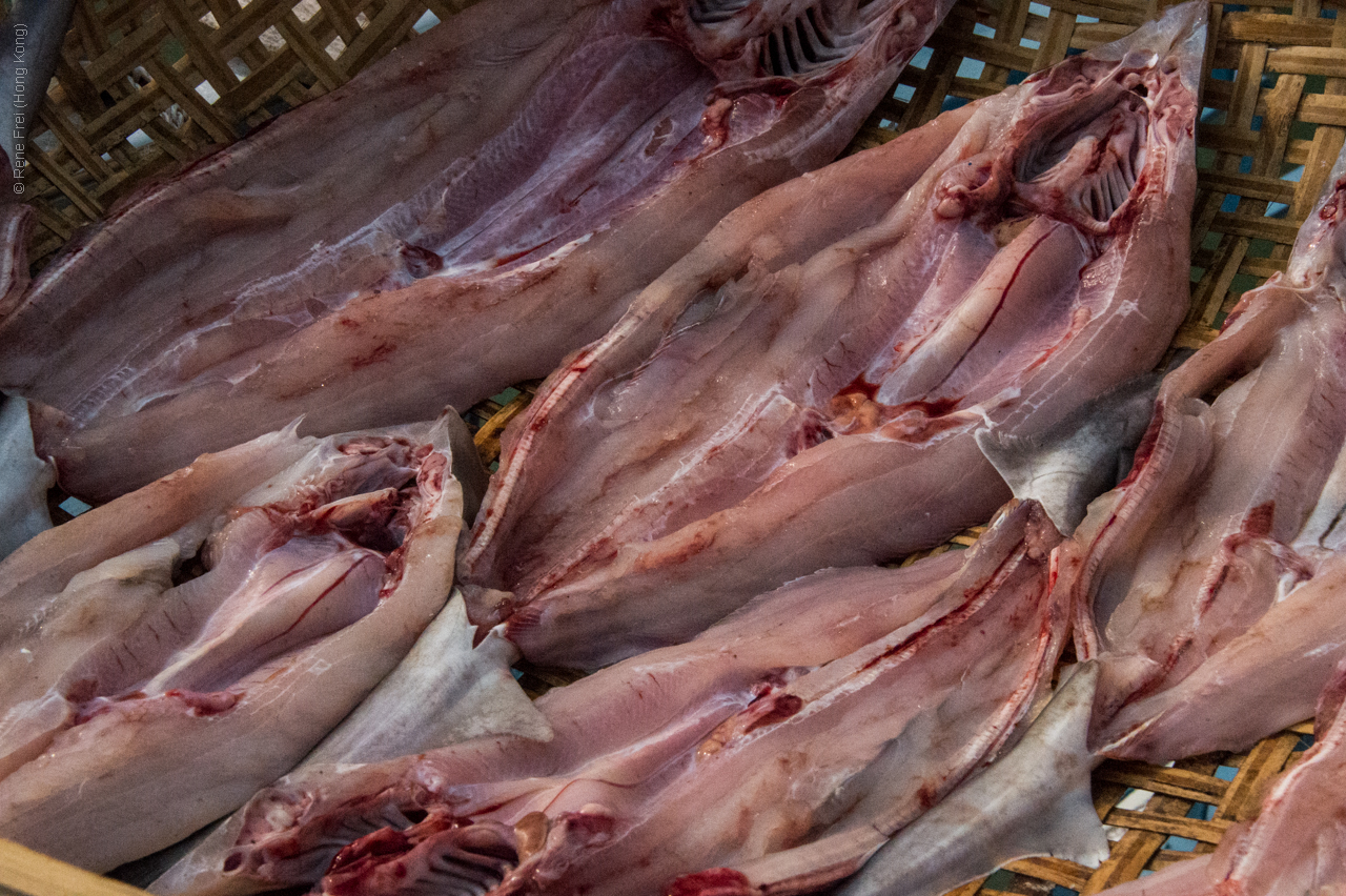 Tai O - Hong Kong - 2014