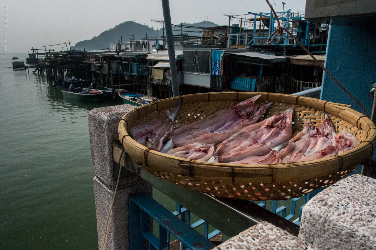 Tai O - Hong Kong - 2014