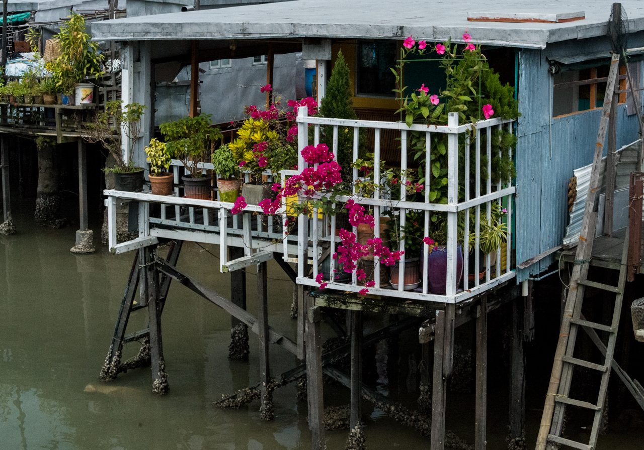 Tai O - Hong Kong - 2014