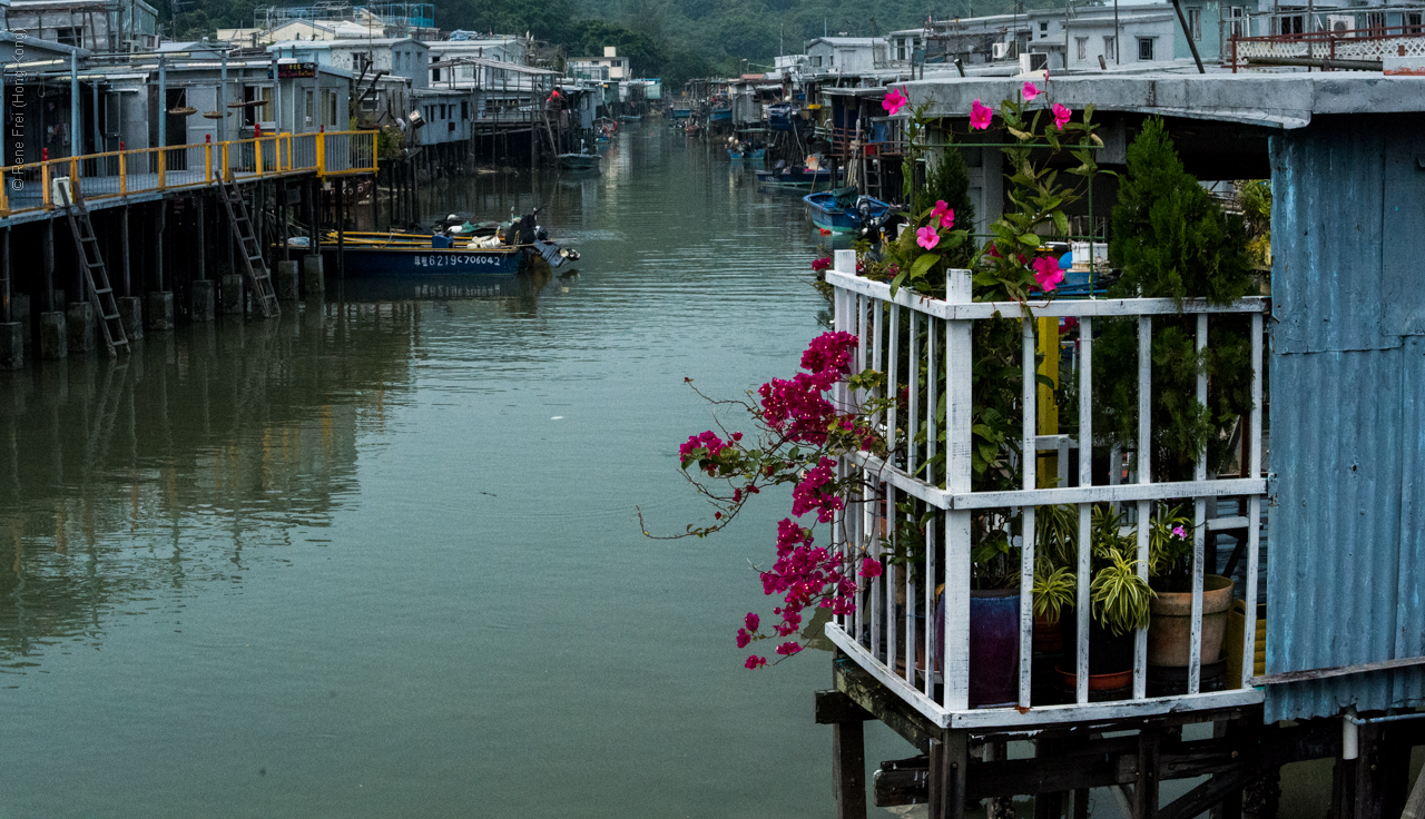 Tai O - Hong Kong - 2014