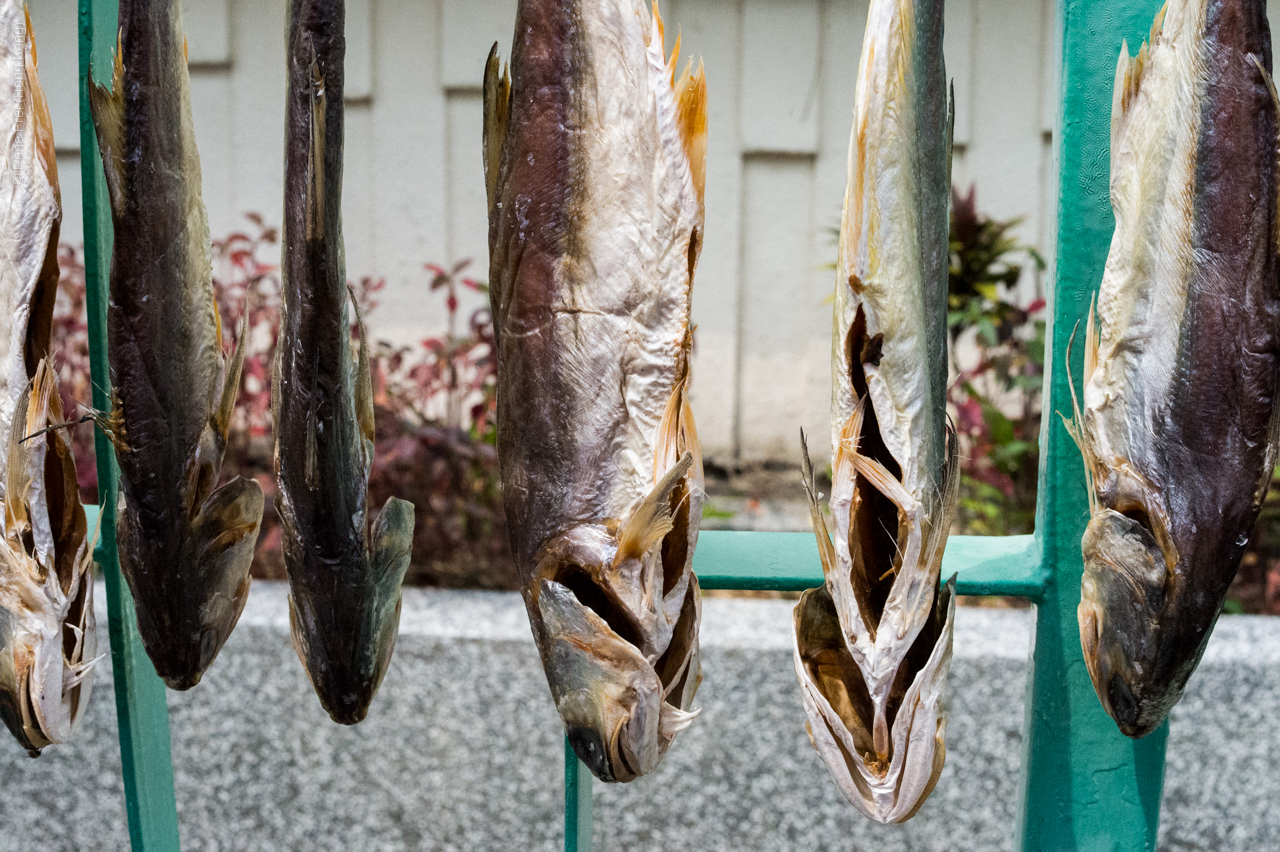 Tai O - Hong Kong - 2014