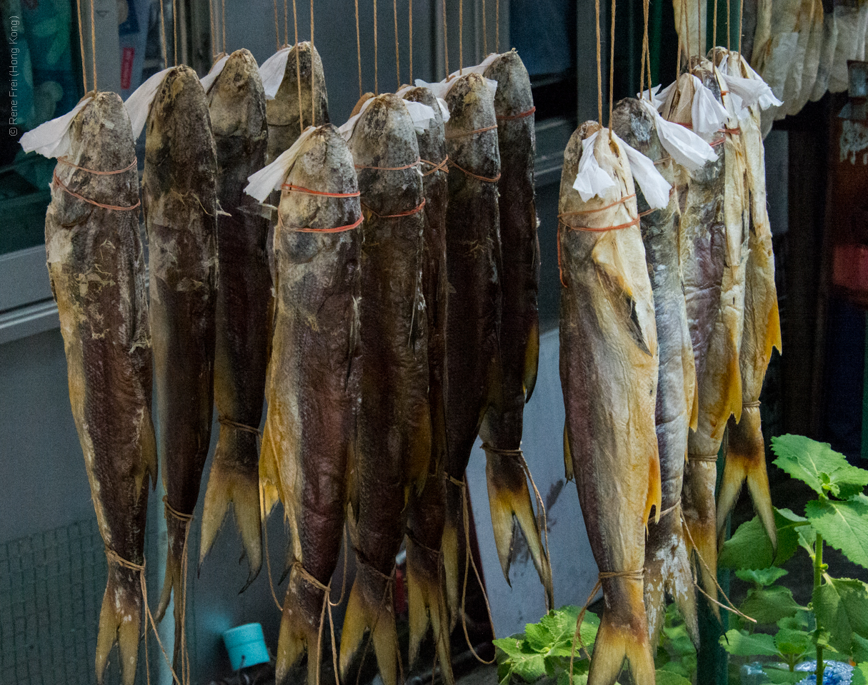 Tai O - Hong Kong - 2014