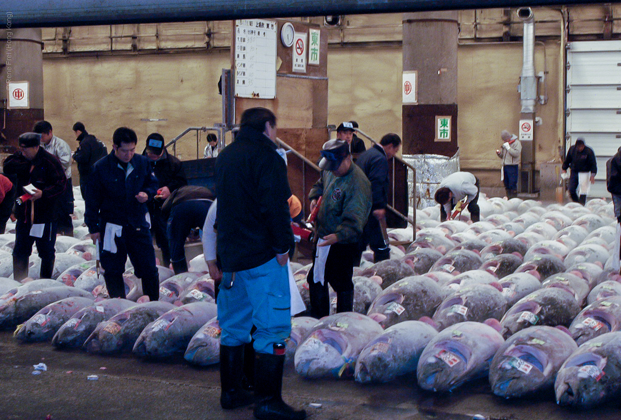 Tokyo - Japan - 2004