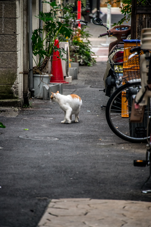 Tokyo - Japan - 2016