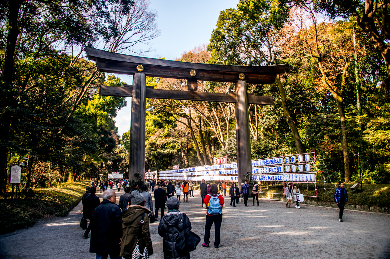 Tokyo - Japan - 2016