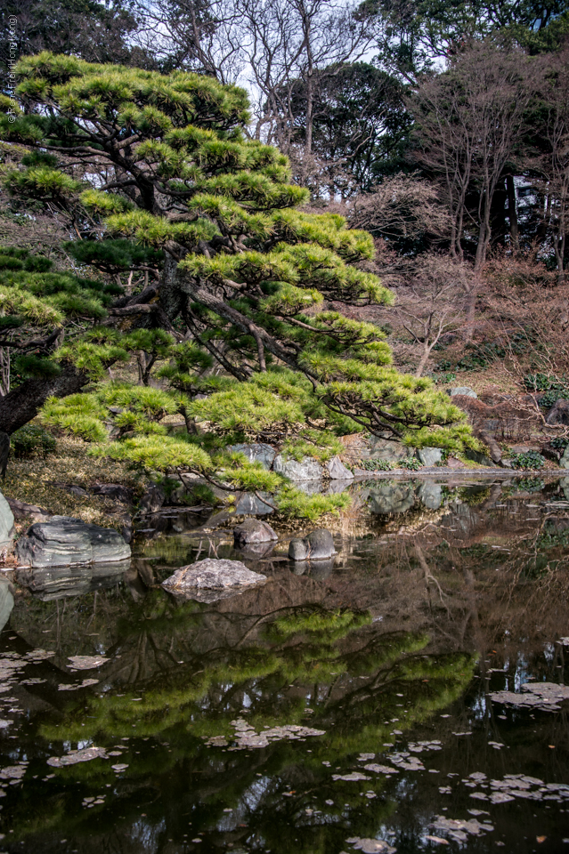 Tokyo - Japan - 2016