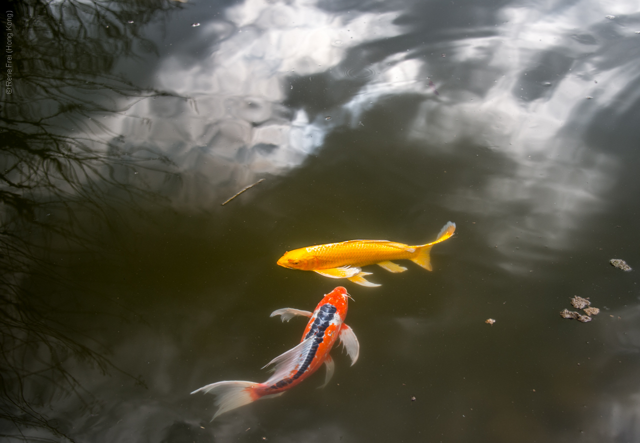 Tokyo - Japan - 2016